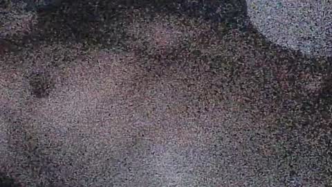 dick online show from 07-11-26, 10:18