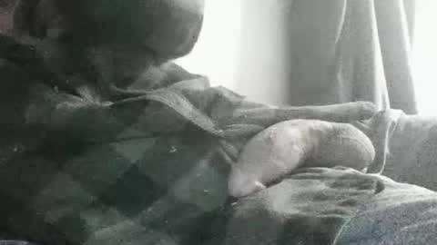 dick online show from 07-13-26, 11:35