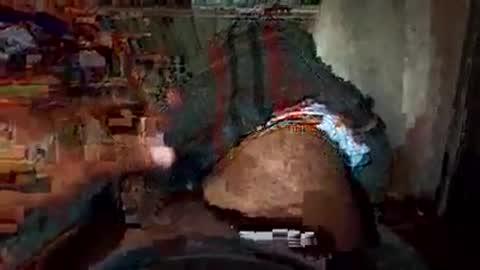 dyno online show from 11-22-25, 02:10