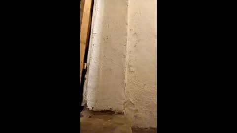 dirtytravbitch online show from 05-06-26, 02:19