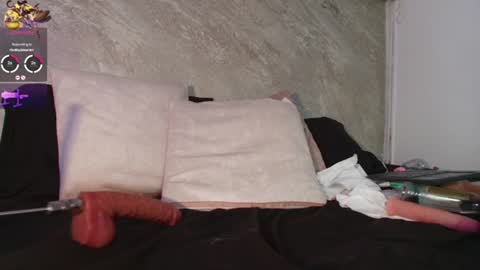 Snapshot of dixie_grey1 chatting on 07-04-26, 03:51 Sofia online show from 07-04-26, 03:51