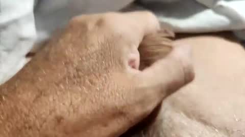 dockydick online show from 10-14-25, 12:00