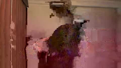 GIJO online show from 03-15-26, 05:24