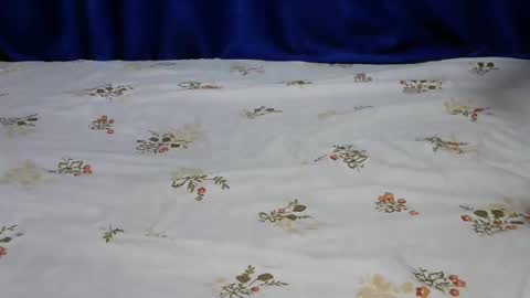 dolly_lioness online show from 02-24-25, 02:58