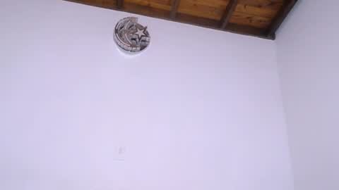 Snapshot of dominika_angel chatting on 07-11-26, 02:03 online show from 07-11-26, 02:03