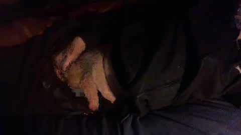 Snapshot of dorsetbiker714 chatting on 01-08-26, 06:32 Hello welcome to Slutsville I am the Naked Chef really but you may call me Peter online show from 01-08-26, 06:32