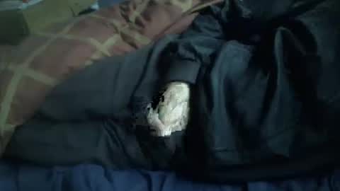 Snapshot of dorsetbiker714 chatting on 01-12-26, 09:58 Hello welcome to Slutsville I am the Naked Chef really but you may call me Peter online show from 01-12-26, 09:58