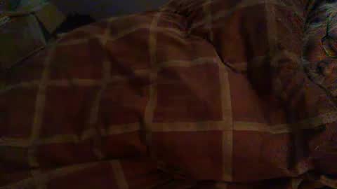 Snapshot of dorsetbiker714 chatting on 02-12-26, 08:53 Hello welcome to Slutsville I am the Naked Chef really but you may call me Peter online show from 02-12-26, 08:53