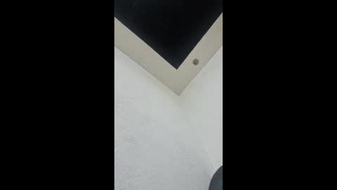 dots66289308004 online show from 03-28-26, 12:10