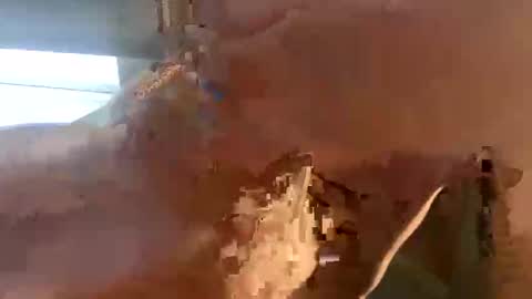 doug_funnie online show from 04-06-26, 07:26