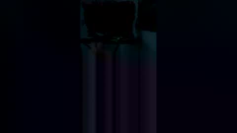 dpickle699 online show from 04-19-26, 04:12