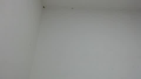 drako_monstercock online show from 01-17-26, 10:46