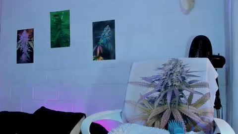 drippyorlove online show from 03-01-26, 08:22