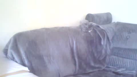 Snapshot of dukenucum73 chatting on 06-15-26, 04:42 chris online show from 06-15-26, 04:42