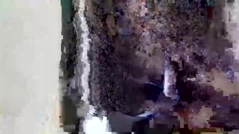 Snapshot of dulcetiffanii chatting on 05-15-26, 11:06 Sofia online show from 05-15-26, 11:06
