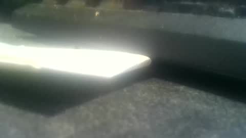 dutchboym online show from 04-09-26, 06:19