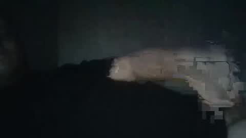 dxjbre online show from 01-08-26, 09:50