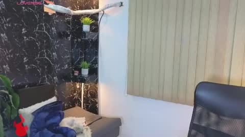 D Y L A N online show from 05-20-26, 03:45