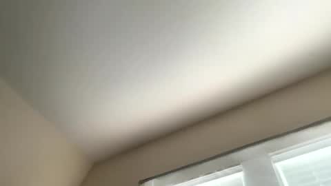 Dynasty online show from 05-26-26, 04:14