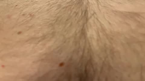 Snapshot of easyfrenchguy chatting on 04-01-26, 10:40 French Guy online show from 04-01-26, 10:40