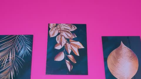 ebonyndsavage online show from 04-09-26, 06:19