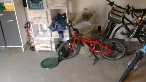edelholz87 online show from 07-16-26, 06:47