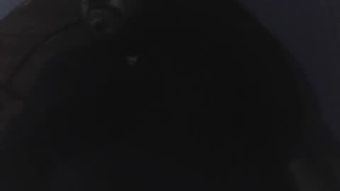 Snapshot of edu4394 chatting on 03-23-26, 02:37 edu4394 online show from 03-23-26, 02:37
