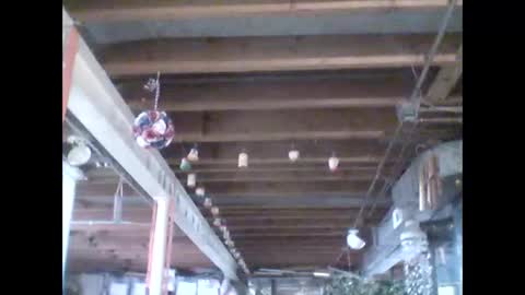 efriff online show from 04-18-26, 07:58