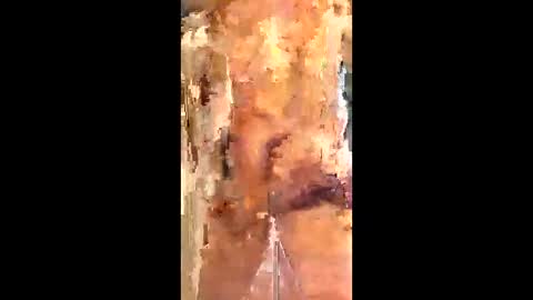 Snapshot of eirickr chatting on 01-06-26, 07:06 eirickr online show from 01-06-26, 07:06