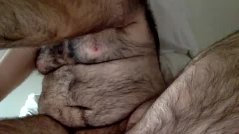 Snapshot of elago chatting on 12-23-24, 03:33 elabear online show from 12-23-24, 03:33