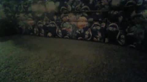 jeff online show from 11-13-25, 08:46