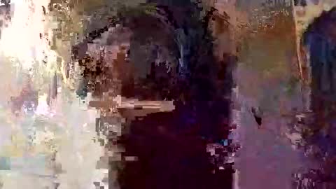 elizabit online show from 04-05-26, 09:28