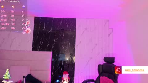 Snapshot of elsiemorriis chatting on 12-24-24, 02:21 ELSIE online show from 12-24-24, 02:21