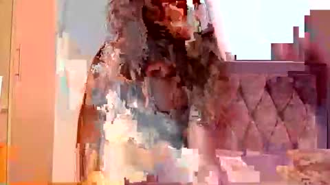 Elysey online show from 09-24-25, 06:39