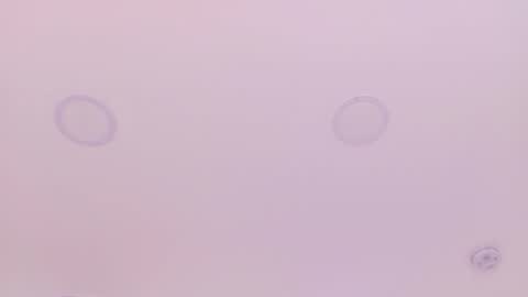 Emily Bank online show from 03-29-26, 07:36