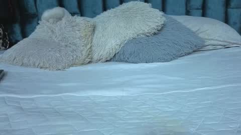 Snapshot of emma_foxi chatting on 03-21-26, 07:17 Emma online show from 03-21-26, 07:17