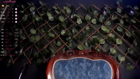 ENJU  I will be back online at 830PM GMT-5 online show from 12-07-24, 04:53