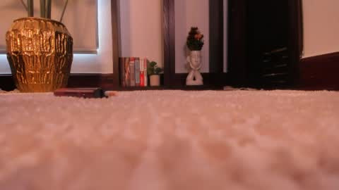 Snapshot of erikabee chatting on 04-08-26, 07:14 Venus Skye online show from 04-08-26, 07:14