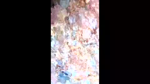 esteralcantara online show from 02-09-26, 05:50