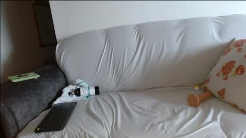 eva_stark57 online show from 05-08-26, 05:40