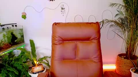 Snapshot of evelyn_chelle chatting on 05-01-26, 11:42 Im Eve or Chelle Next Stream 191224 online show from 05-01-26, 11:42