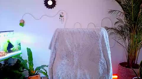 Snapshot of evelyn_chelle chatting on 05-02-26, 04:56 Im Eve or Chelle Next Stream 191224 online show from 05-02-26, 04:56