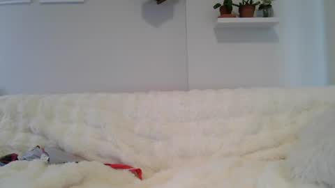 Snapshot of evillers1 chatting on 07-09-26, 11:42 Badblondebunny online show from 07-09-26, 11:42