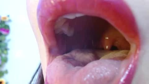 Evoleth online show from 12-15-24, 09:03