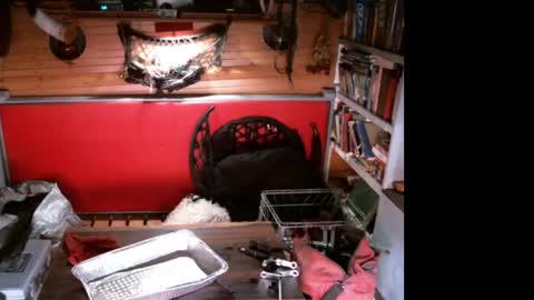 EvPierce online show from 04-11-26, 07:13