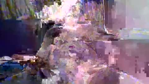 Snapshot of ewaldwillems99 chatting on 02-10-26, 04:22 Naaktloper online show from 02-10-26, 04:22