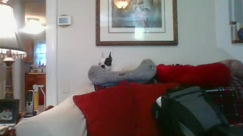 falconbator8 online show from 01-01-25, 01:27