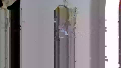 favouriteveronika online show from 04-14-26, 03:45