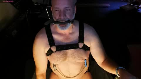 Piggy online show from 03-01-25, 04:04