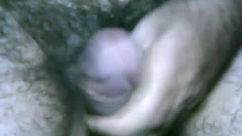 fer_2197 online show from 01-27-25, 09:55